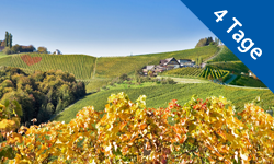 Gansberger Reisen - Urlaub - Ausflug 