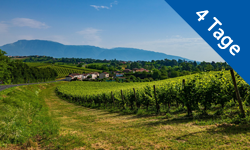 Gansberger Reisen - Urlaub - Ausflug - Venedig & Friaul