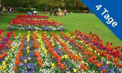 Gansberger Reisen - Urlaub - Ausflug - Tulpenblüte Slowenien