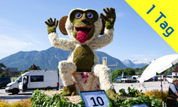 Gansberger Reisen - Urlaub - Ausflug - Tagesfahrt 